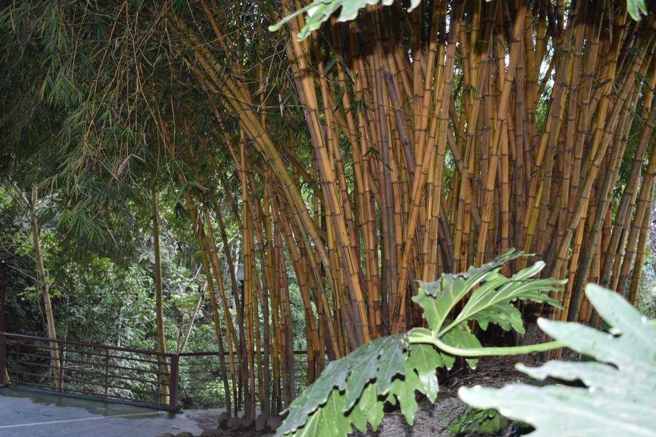 Hotel Bambu Inn サレント エクステリア 写真